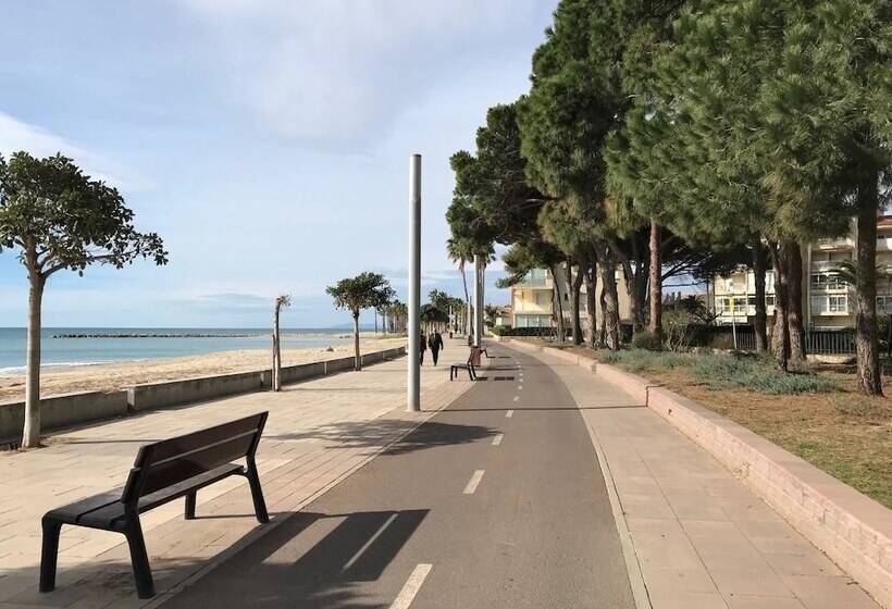 酒店 Apartamento Miramar Vistas Frontales Mar   124b