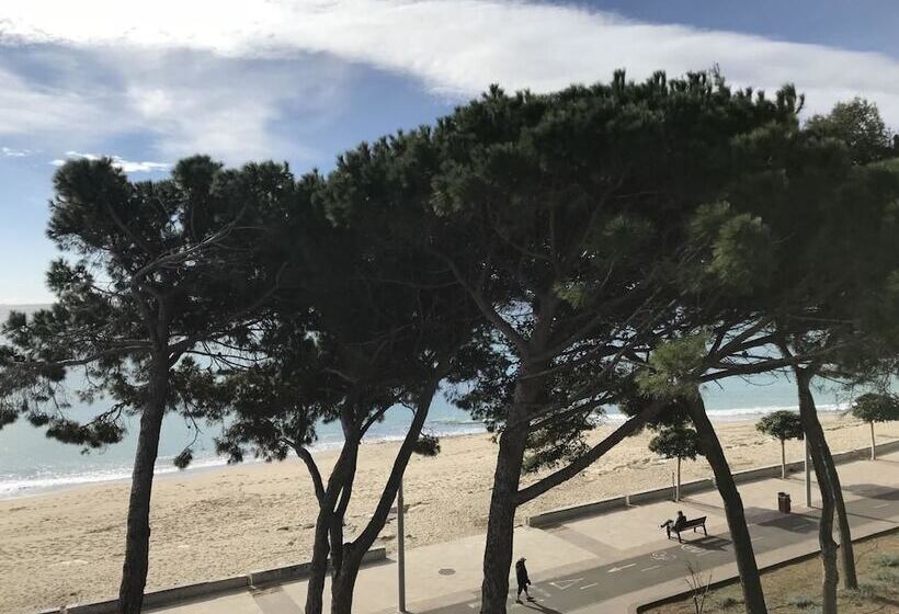 酒店 Apartamento Miramar Vistas Frontales Mar   124b