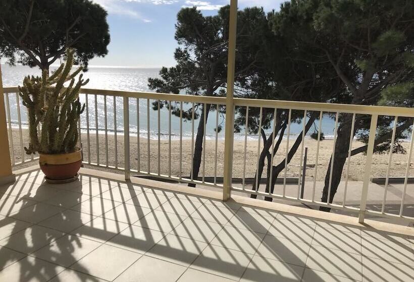 酒店 Apartamento Miramar Vistas Frontales Mar   124b