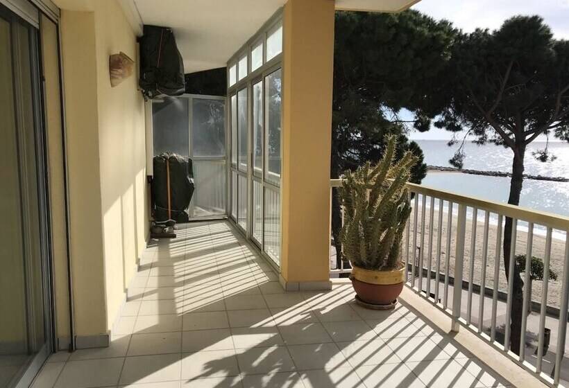 酒店 Apartamento Miramar Vistas Frontales Mar   124b