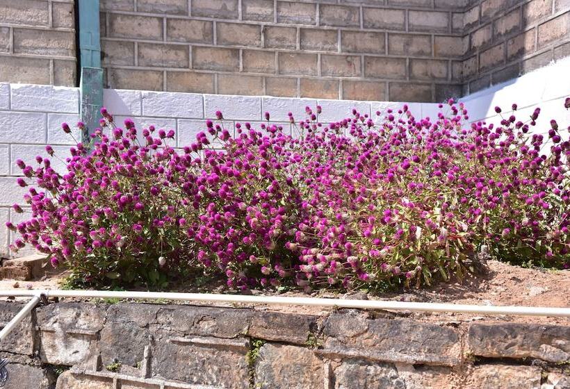 酒店 Grand Peak Tea Garden