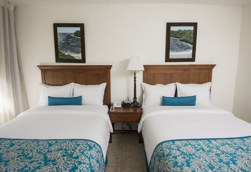 호텔 Punta Leona  All Inclusive