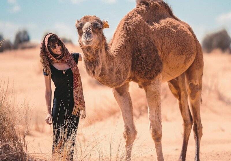 هتل Tangerine Sky Camp