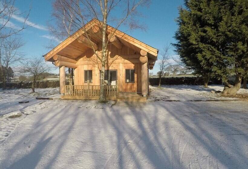 Braisty Woods   Knotty & Nice