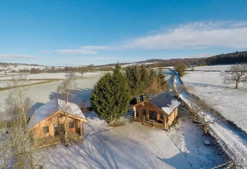 Braisty Woods   Knotty & Nice