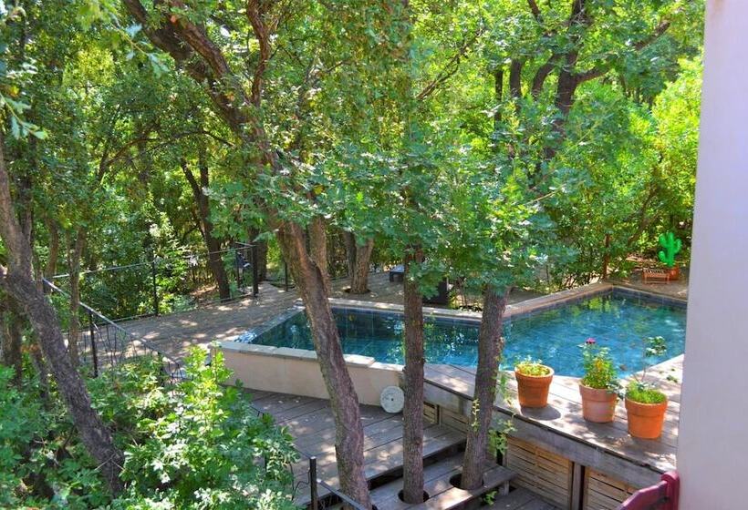 Пансион Chambres D Hôtes Maison De La Vigne