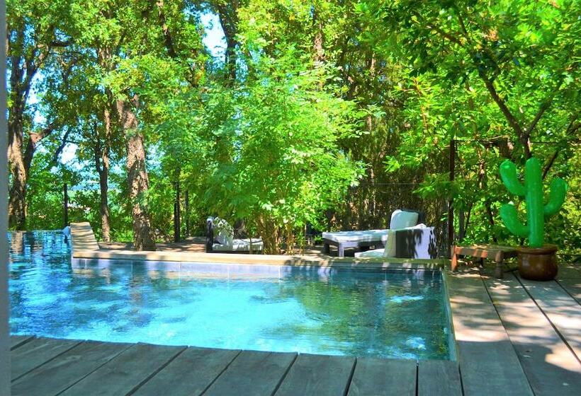 Пансион Chambres D Hôtes Maison De La Vigne