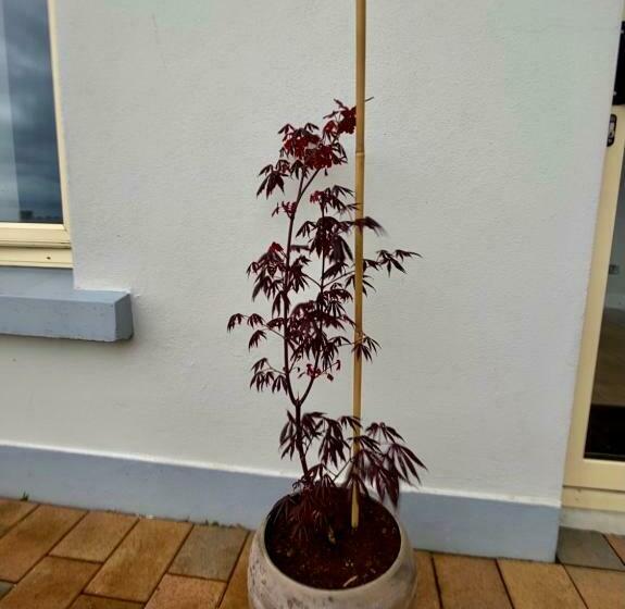 ペンション Coastal View House