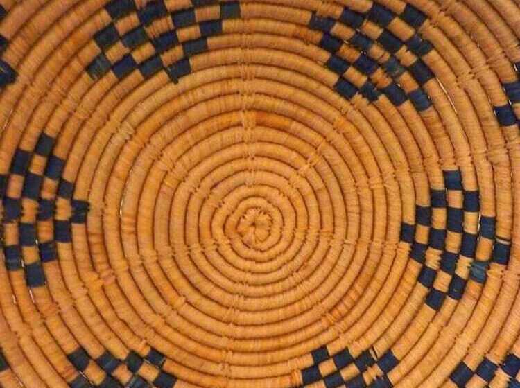 Пансион La Maison Narbonnaise