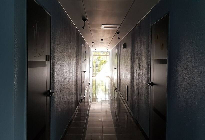 膳宿费 Muju Haebaragi Hostel