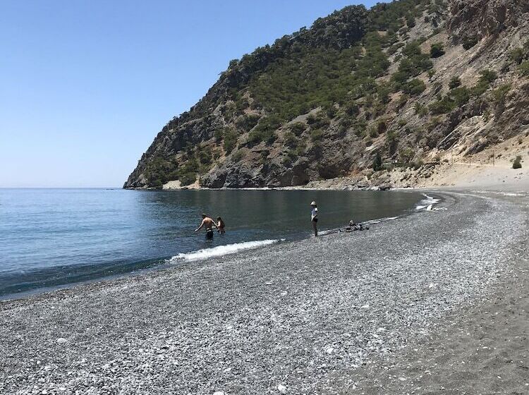 펜션 Panorama Rooms