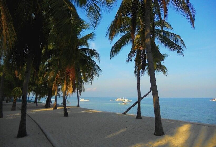 Slam S Garden Dive Resort