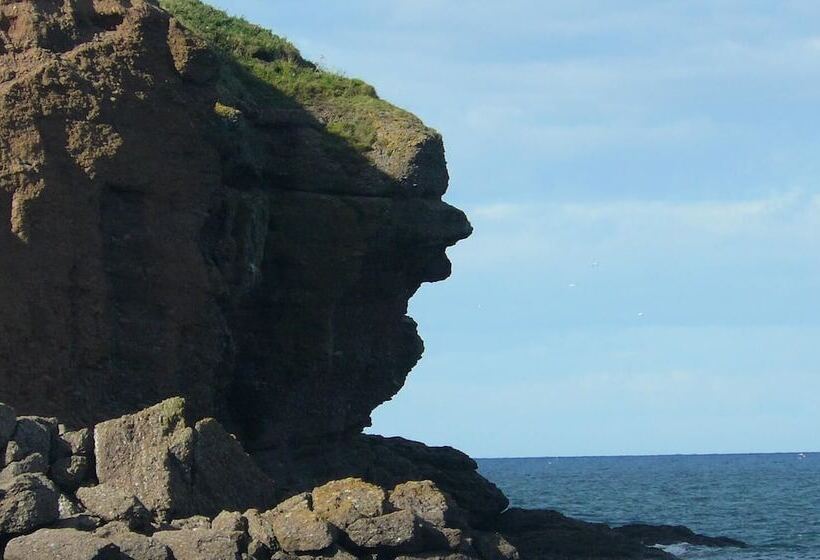 The Home Arms Cottage