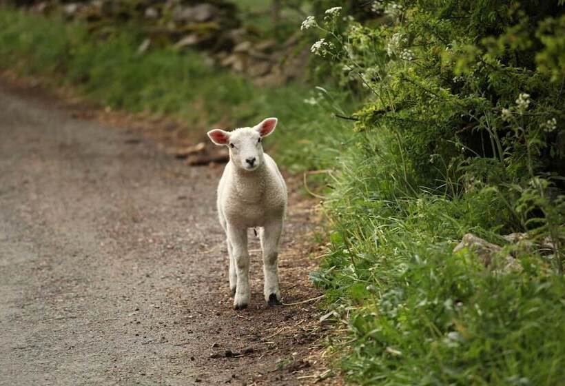 The Little Vicarage Holiday Cottage