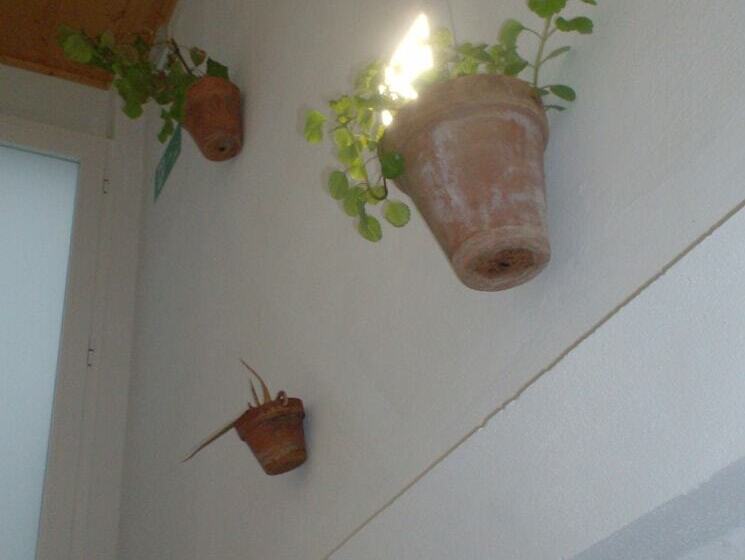 ユースホステル Rocio Rooms