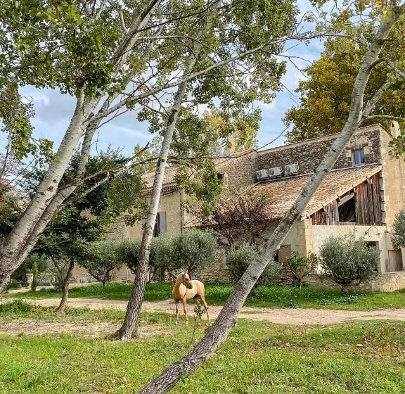 Bed and Breakfast Domaine Cap Rubis