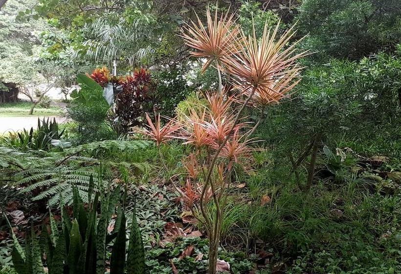 호텔 703 Oyster Schelles