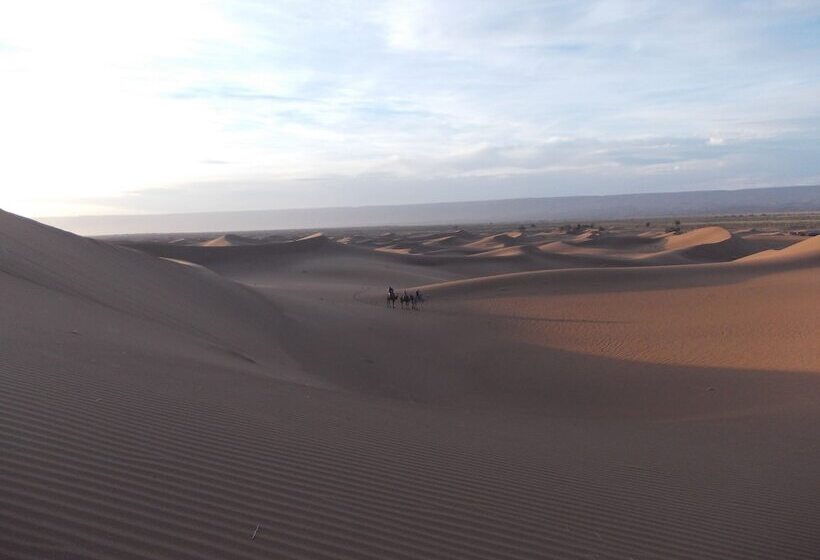 호텔 Bivouac Draa Nuit Dans Le Désert