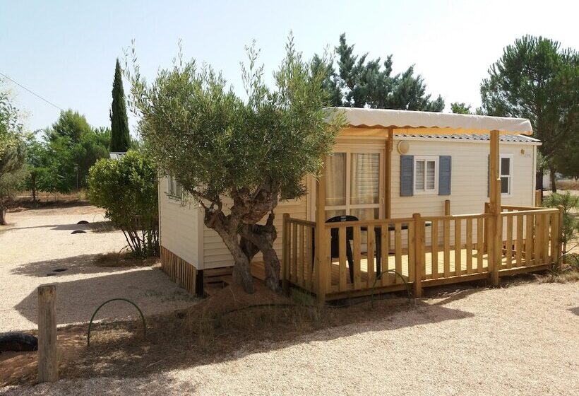 בית מלון כפרי Camping Bola