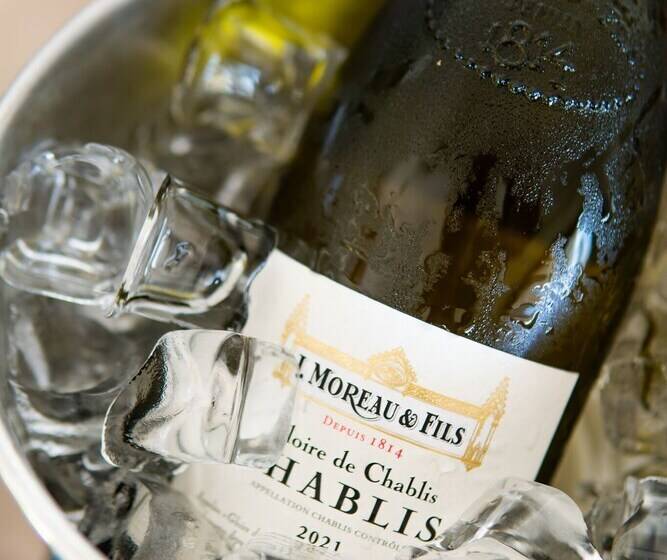 ホテル Casa Paradis Boutique