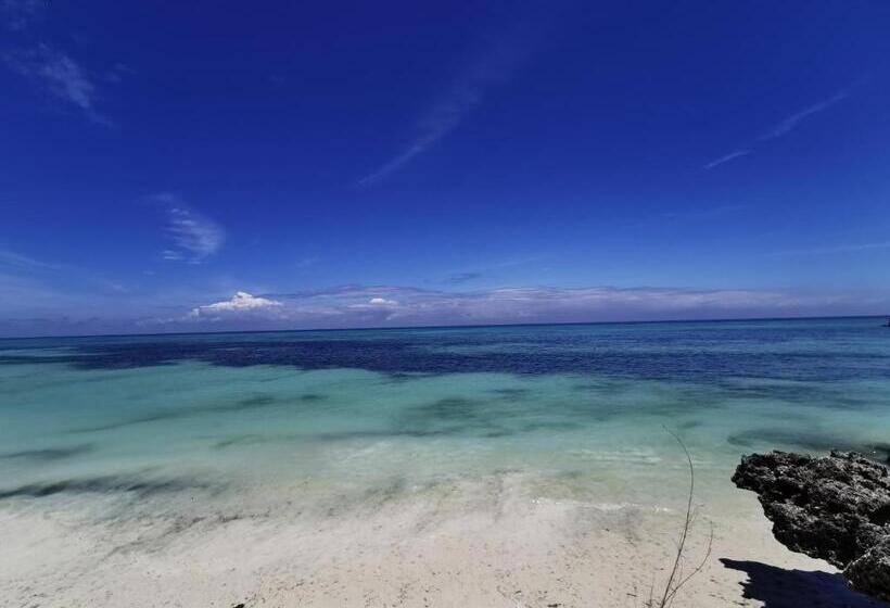 בית מלון כפרי Coco Reef Ecolodge