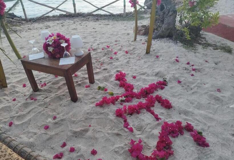 בית מלון כפרי Coco Reef Ecolodge