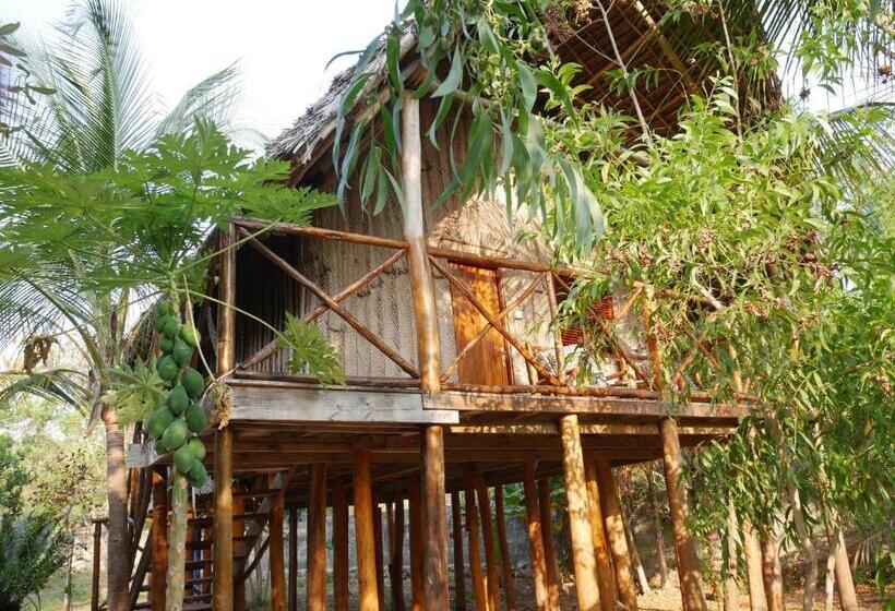 בית מלון כפרי Coco Reef Ecolodge