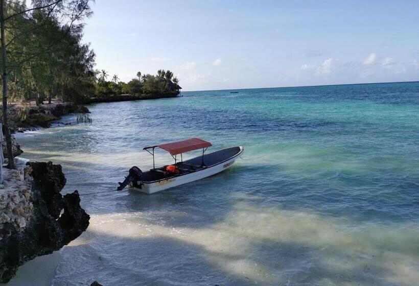 בית מלון כפרי Coco Reef Ecolodge