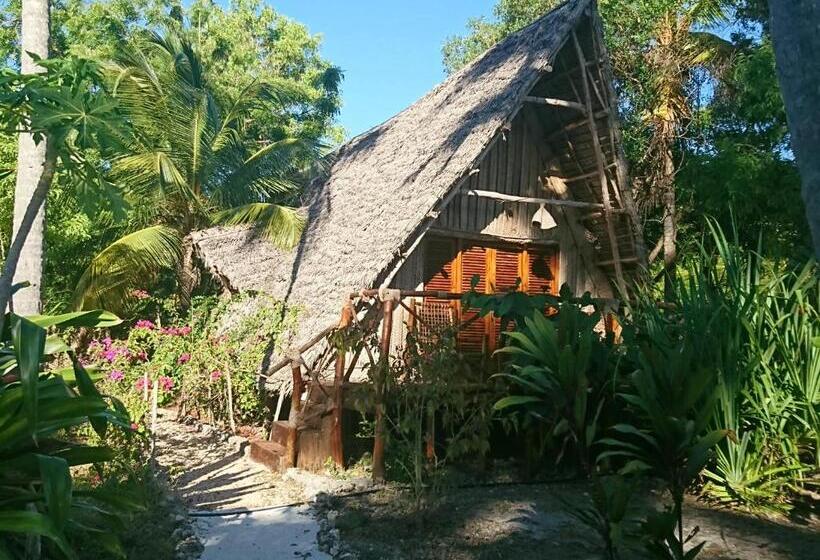 בית מלון כפרי Coco Reef Ecolodge