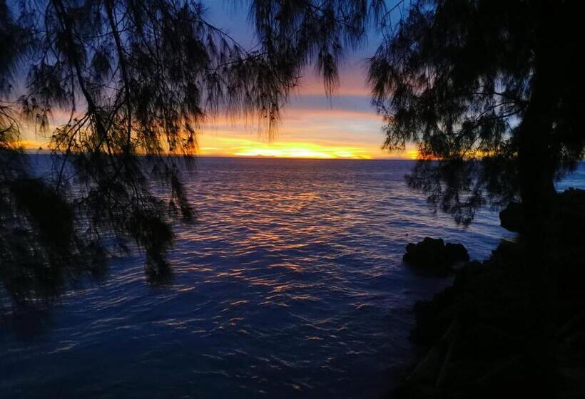 בית מלון כפרי Coco Reef Ecolodge