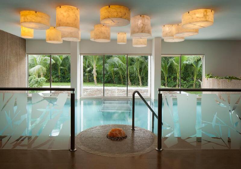 호텔 El Dorado Seaside Palms, Catamarán, Cenote & More Inclusive