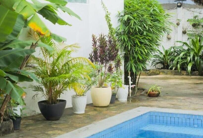 ホテル Manoha Villa