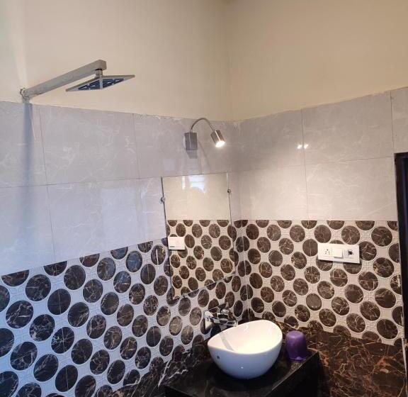 Отель Vijayshree