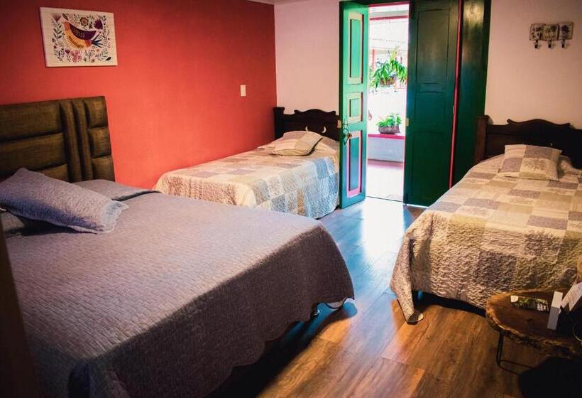 ホテル Villa Cristina   Casa Boutique