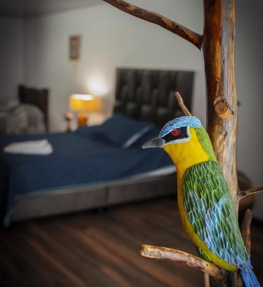 ホテル Villa Cristina   Casa Boutique