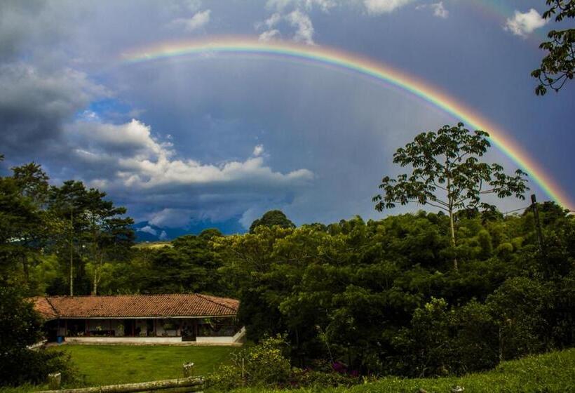 ホテル Villa Cristina   Casa Boutique