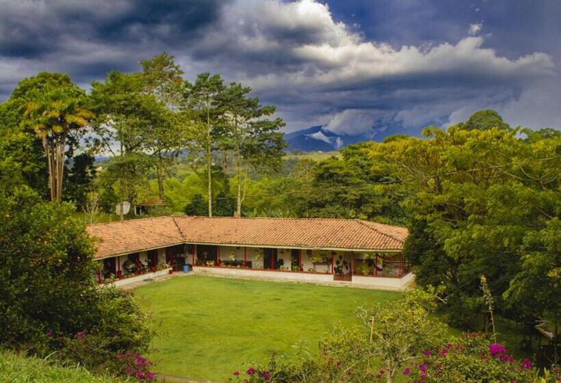 ホテル Villa Cristina   Casa Boutique