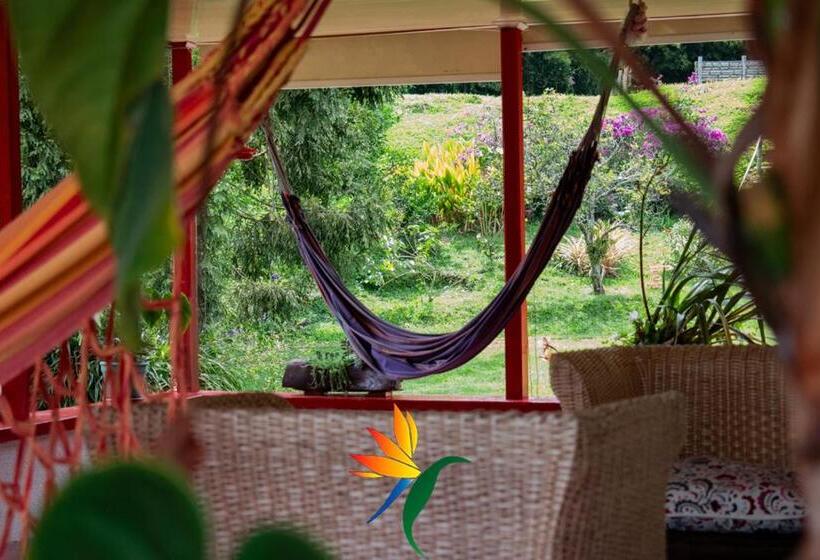 ホテル Villa Cristina   Casa Boutique