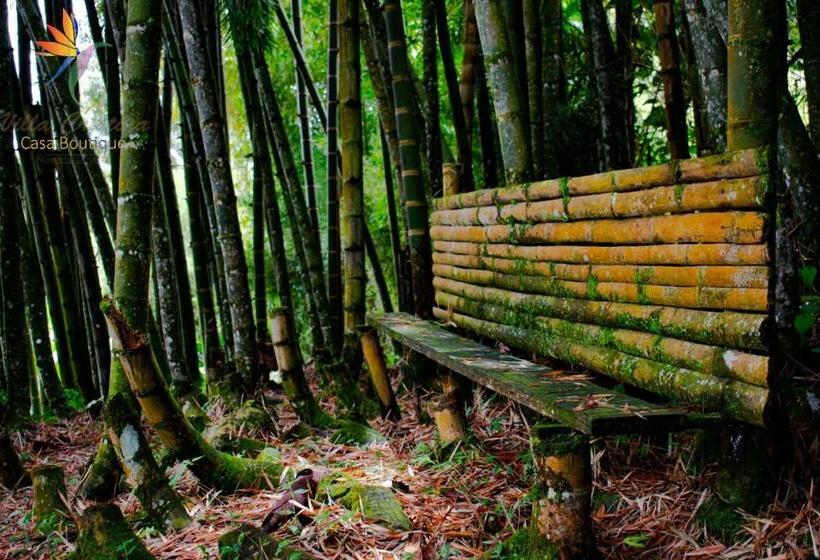 ホテル Villa Cristina   Casa Boutique