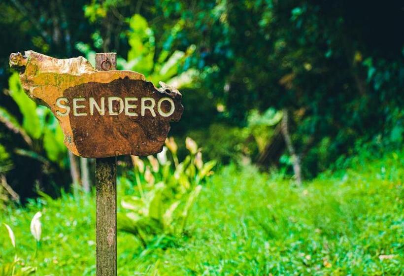 ホテル Villa Cristina   Casa Boutique