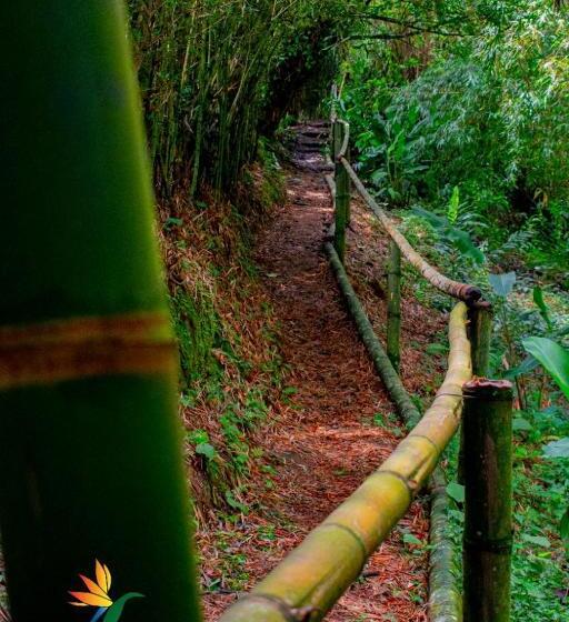 ホテル Villa Cristina   Casa Boutique