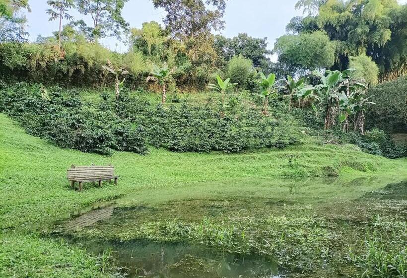 ホテル Villa Cristina   Casa Boutique