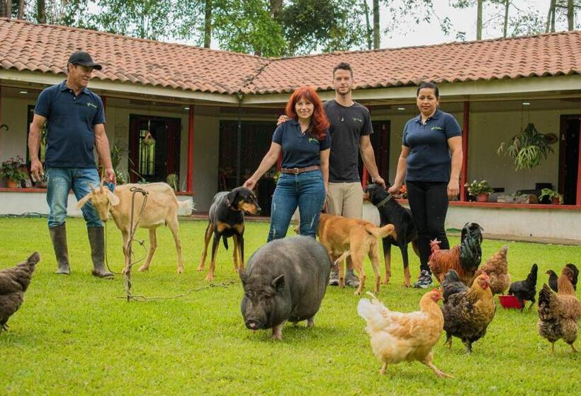 ホテル Villa Cristina   Casa Boutique