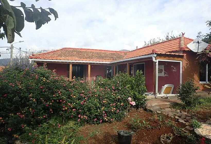 Little Norway   Etc Madeira