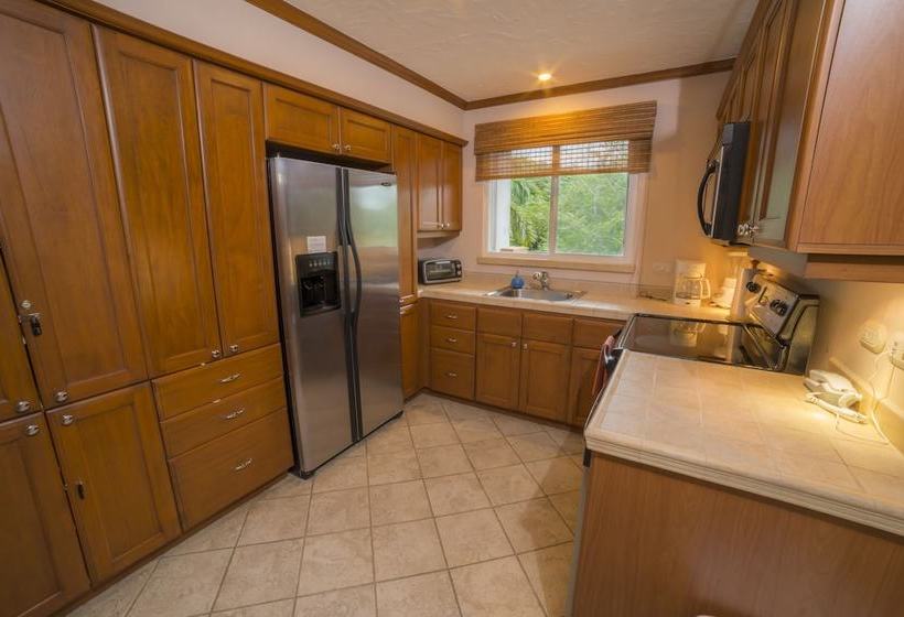 Los Suenos Resort Veranda 4b