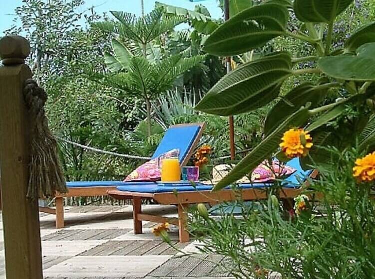 Old Post Office House   Etc Madeira