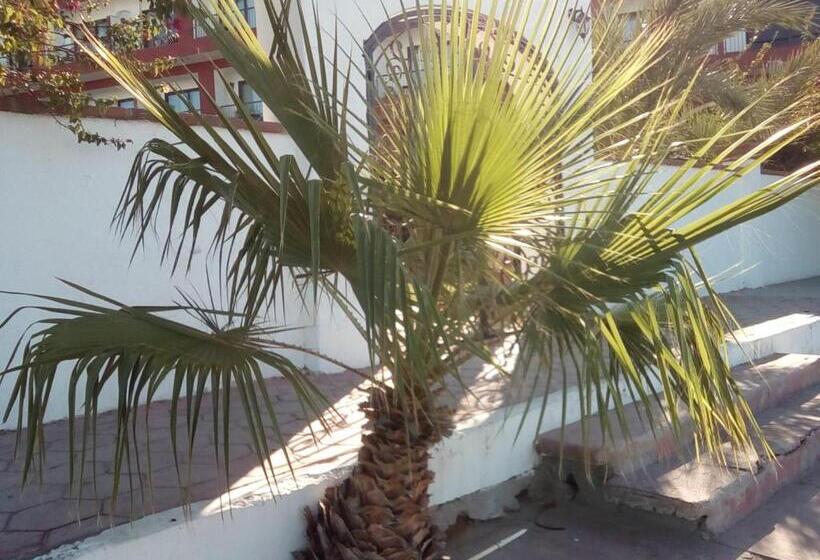 پانسیون Beach Club Junior Suite