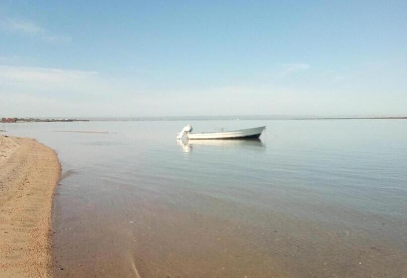 膳宿费 Beach Club Junior Suite