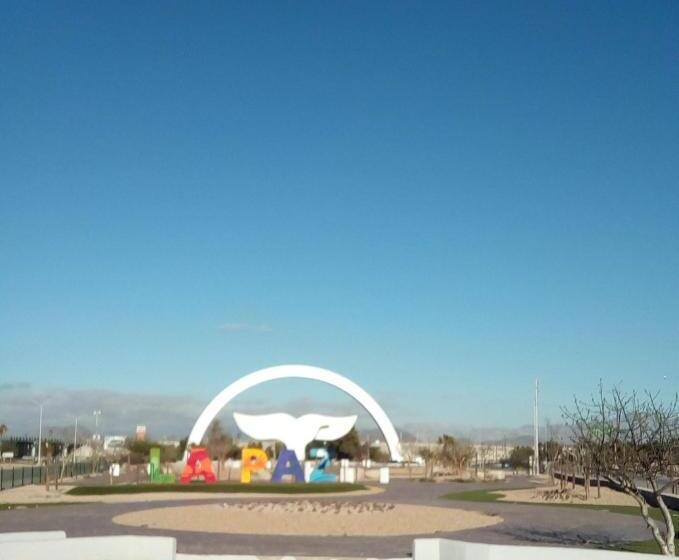 膳宿费 Beach Club Junior Suite