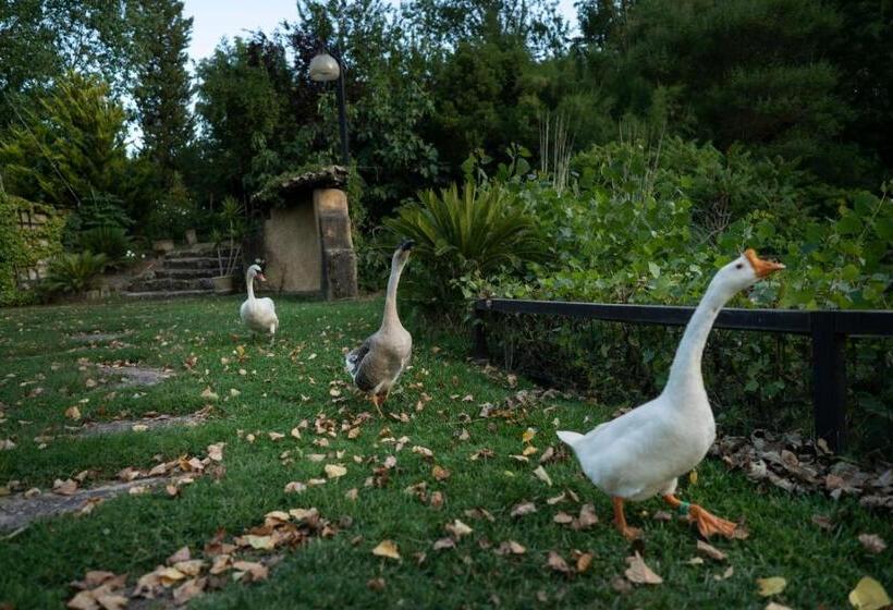 Пансион Villa Pastorelli